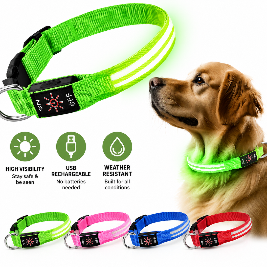 LED Rechargeable Reflective Dog Safety Collar Bowlift