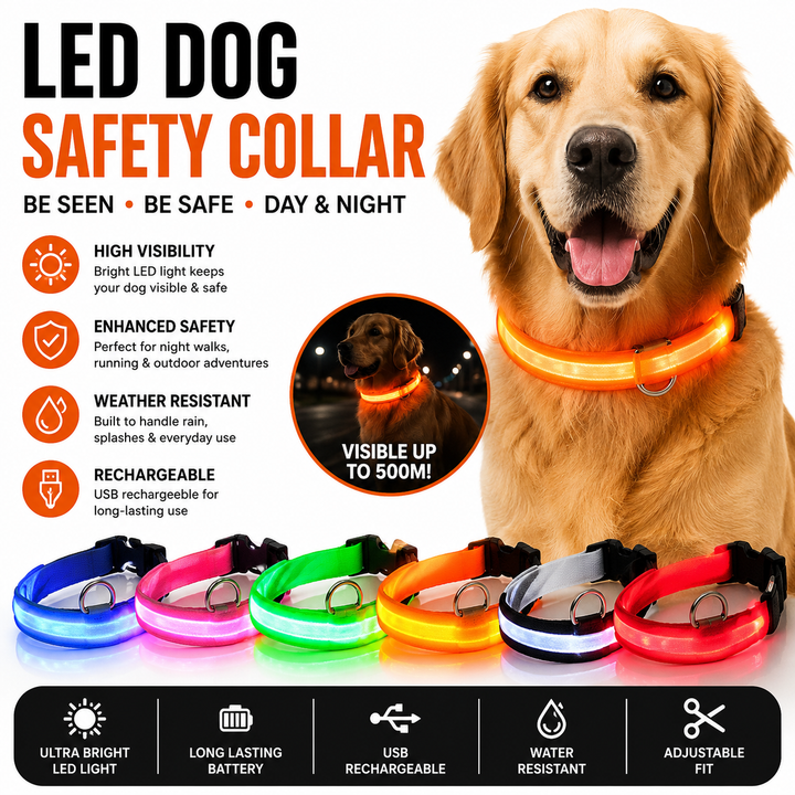 LED Light-Up Reflective Nylon Dog Collar with Quick-Release Buckle and Metal D-Ring Bowlift