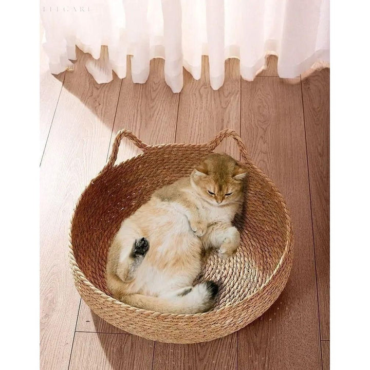 BowLift | CloudNest | Bamboo cat bed with cuddle cushion