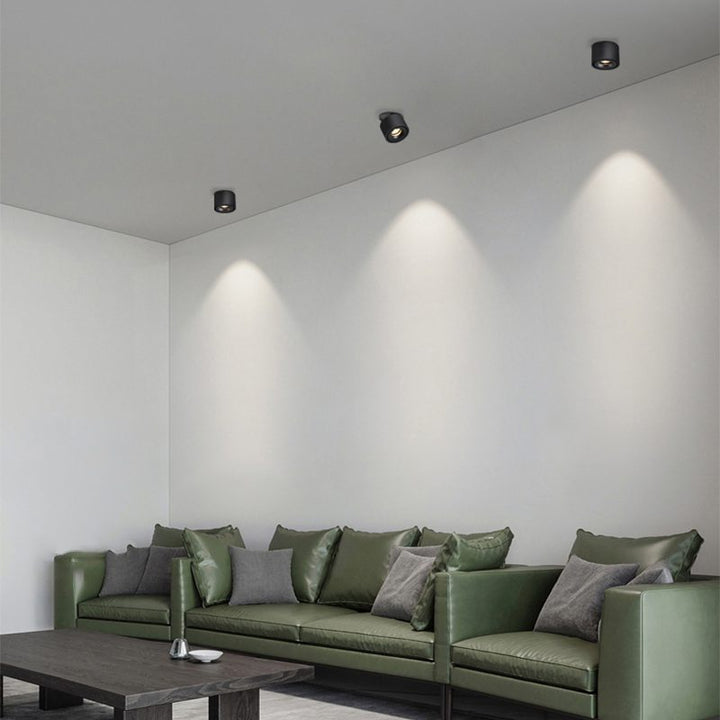 BowLift | Adjustable Cylinder Built-in LED Ceiling Lamp