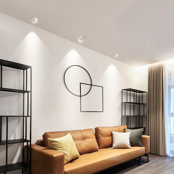 BowLift | Adjustable Cylinder Built-in LED Ceiling Lamp