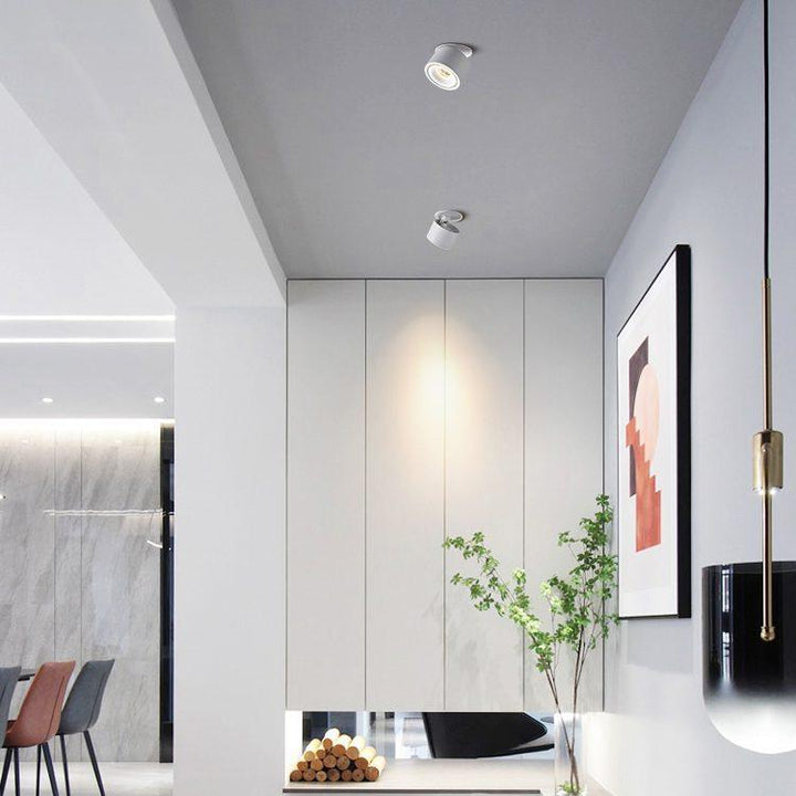 BowLift | Adjustable Cylinder Built-in LED Ceiling Lamp