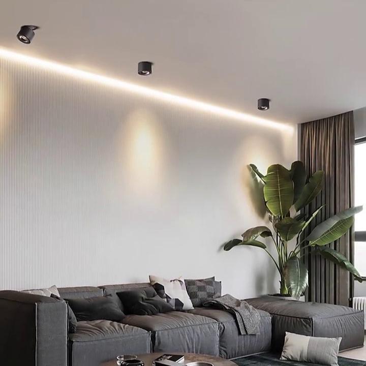 BowLift | Adjustable Cylinder Built-in LED Ceiling Lamp