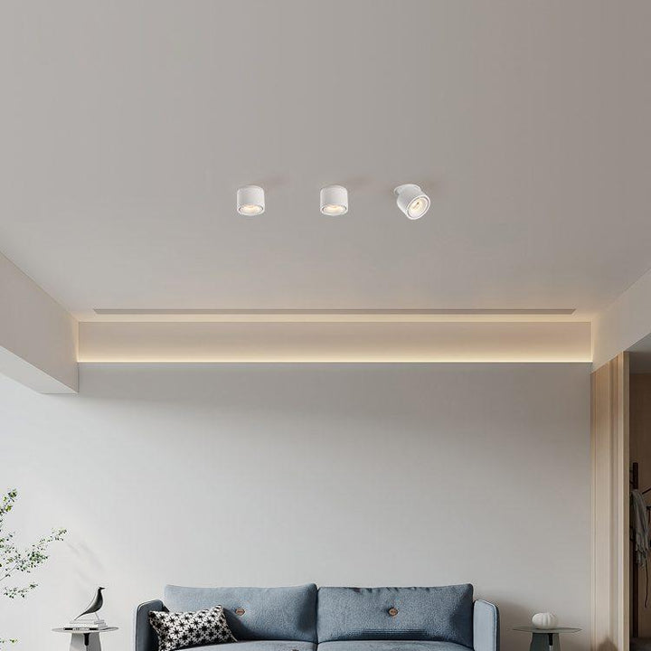 BowLift | Adjustable Cylinder Built-in LED Ceiling Lamp