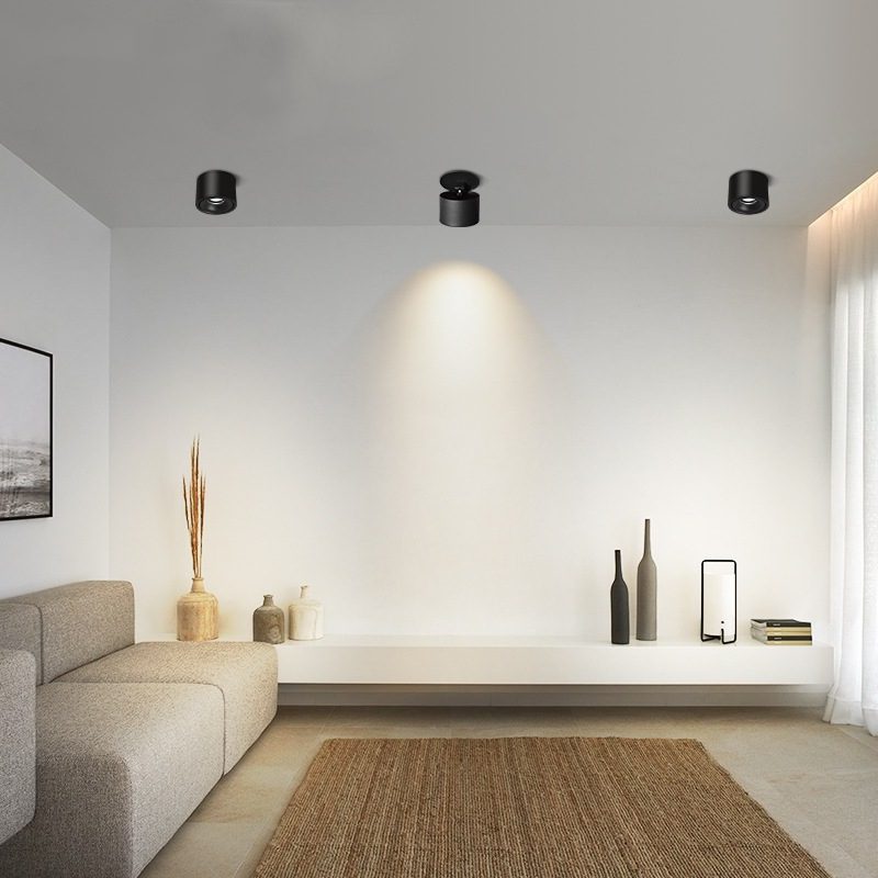 BowLift | Adjustable Cylinder Built-in LED Ceiling Lamp