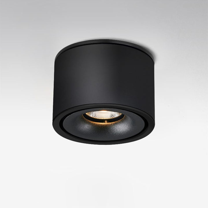 BowLift | Adjustable Cylinder Built-in LED Ceiling Lamp