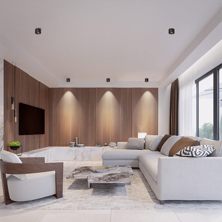 BowLift | Adjustable Cylinder Built-in LED Ceiling Lamp