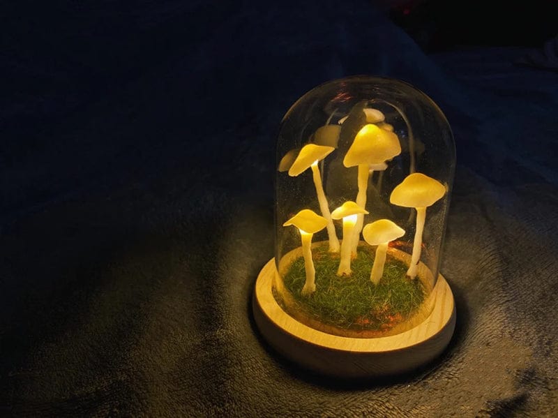 BowLift | MycoJar - Make your own mushrooms - Natural glass DIY - Awaken your creativity