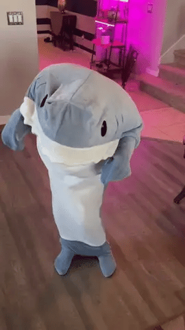 Shark Blanket 🦈 | Bowlift