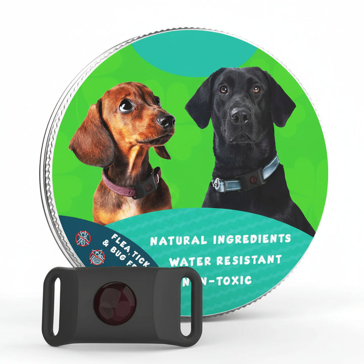Flea and Tick Free