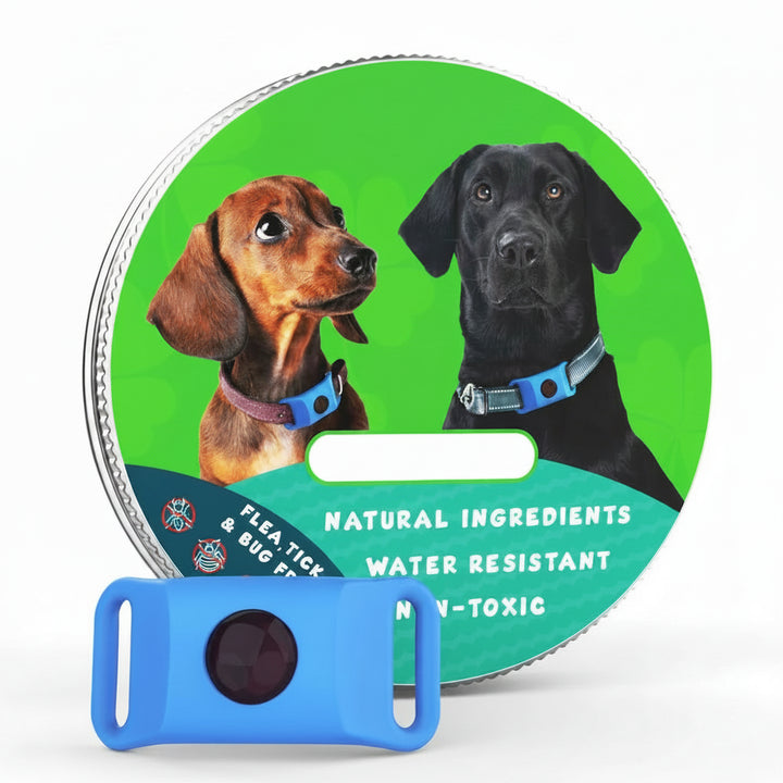 Flea and Tick Free