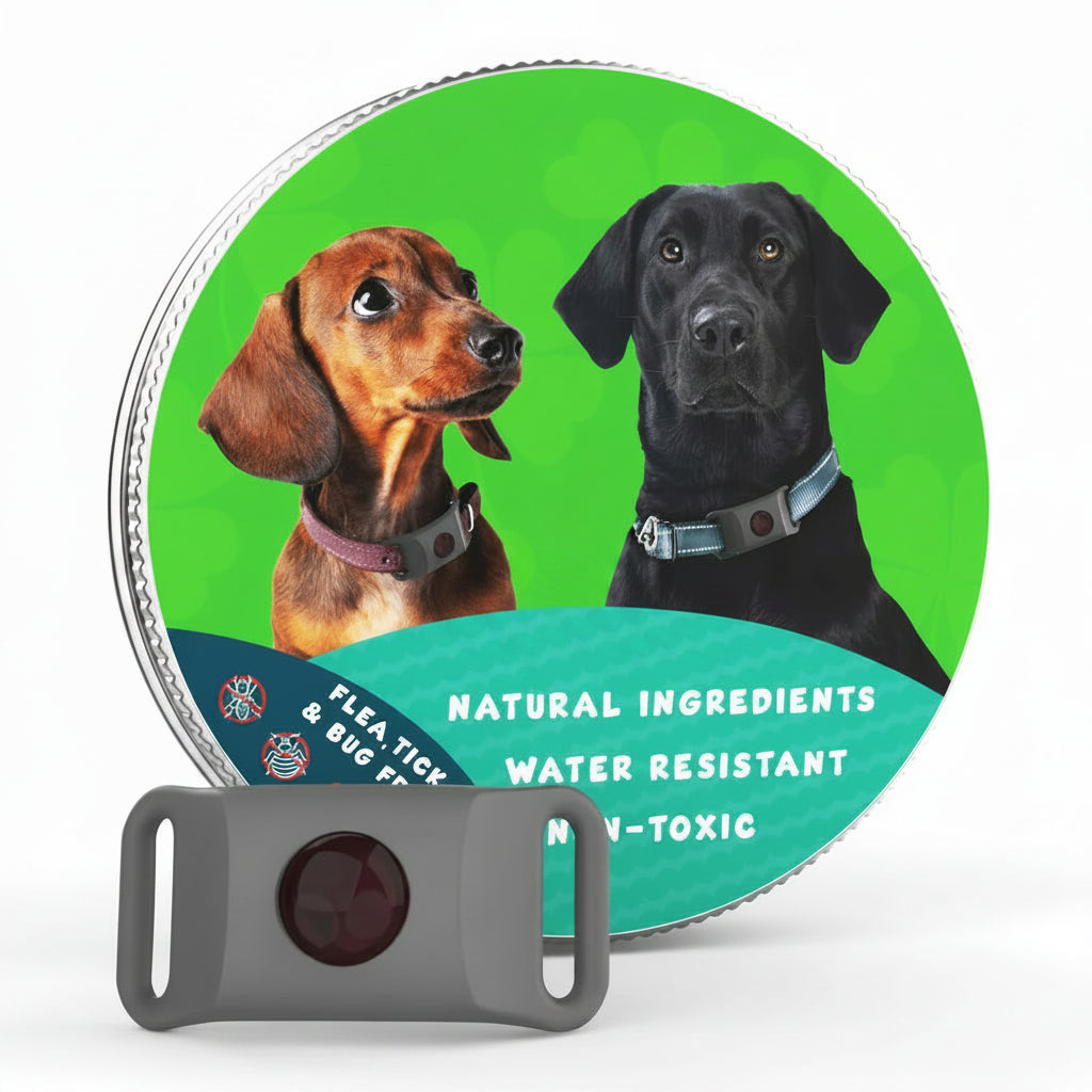 Flea and Tick Free