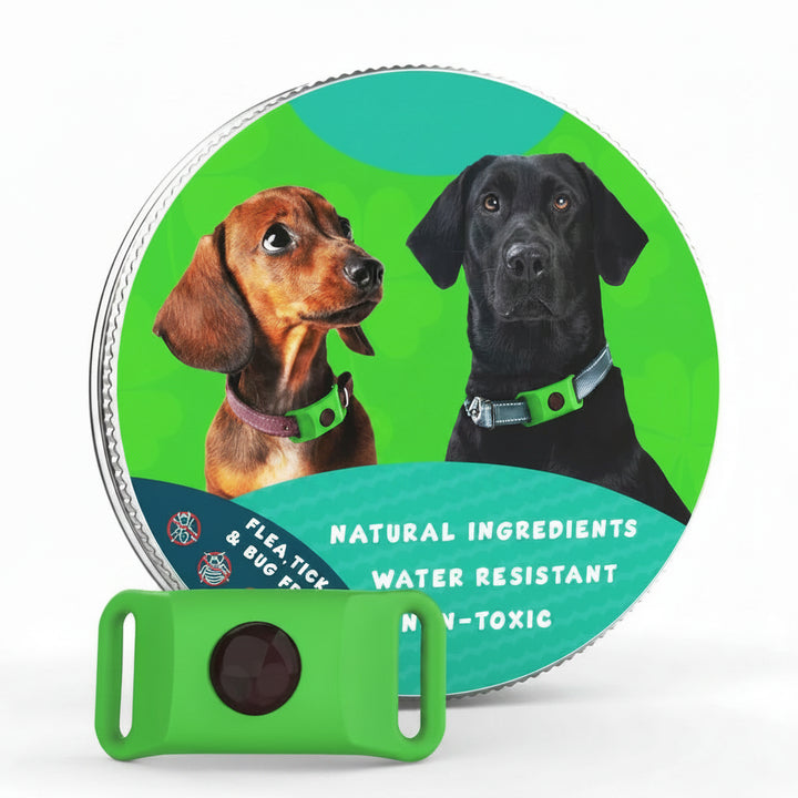 Flea and Tick Free