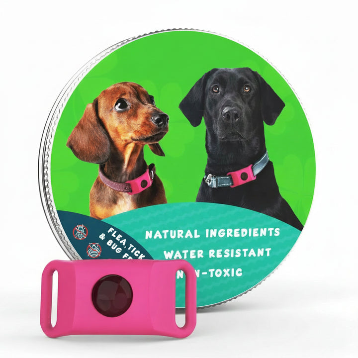 Flea and Tick Free