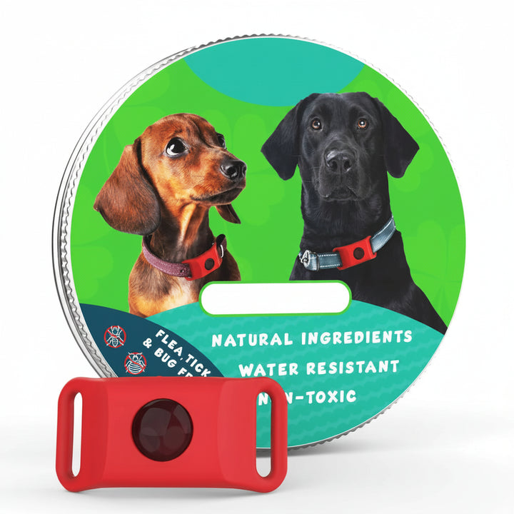 Flea and Tick Free