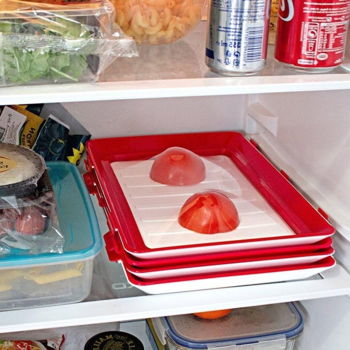 BowLift | Reusable freshness plate with airtight closure for daily use