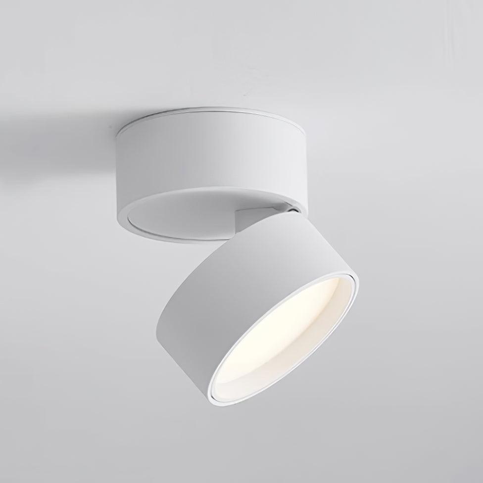 BowLift | Favilla LED Ceiling Light with Adjustable Mechanism