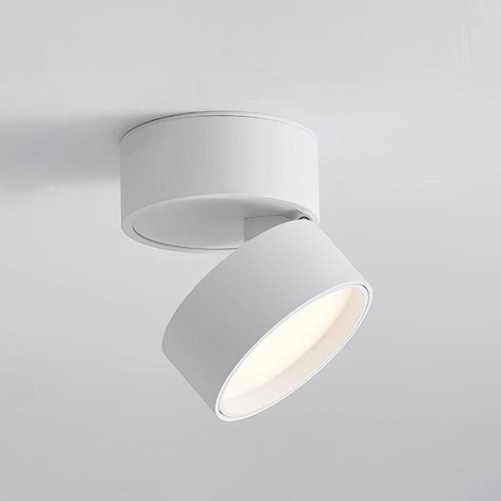 BowLift | Favilla LED Ceiling Light with Adjustable Mechanism