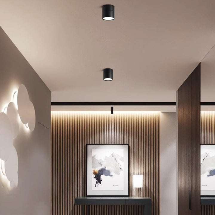 BowLift | Favilla LED Ceiling Light with Adjustable Mechanism