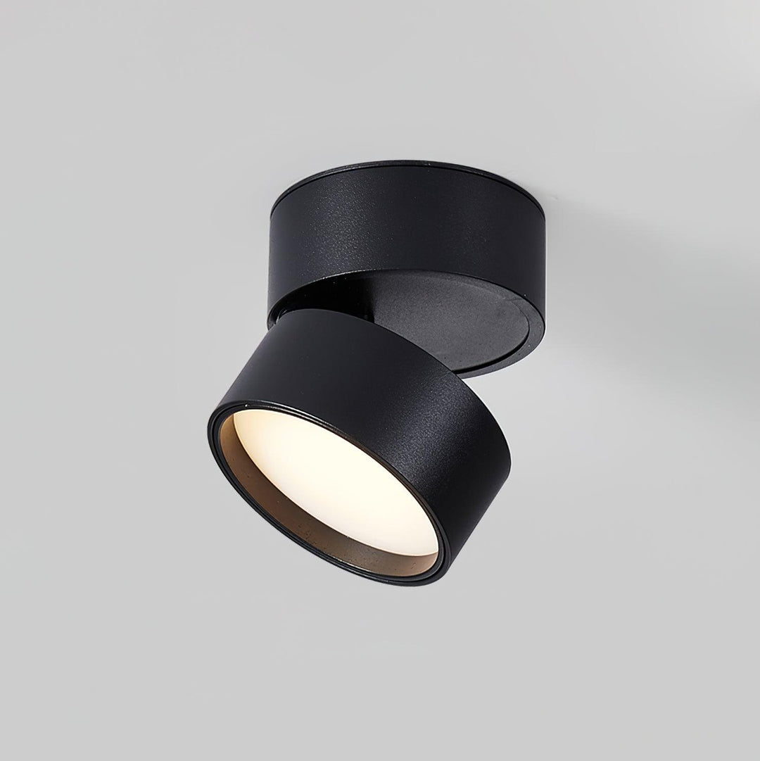 BowLift | Favilla LED Ceiling Light with Adjustable Mechanism