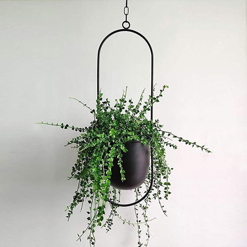 BowLift | FloraFrame | Modern Plant Holder made of Iron