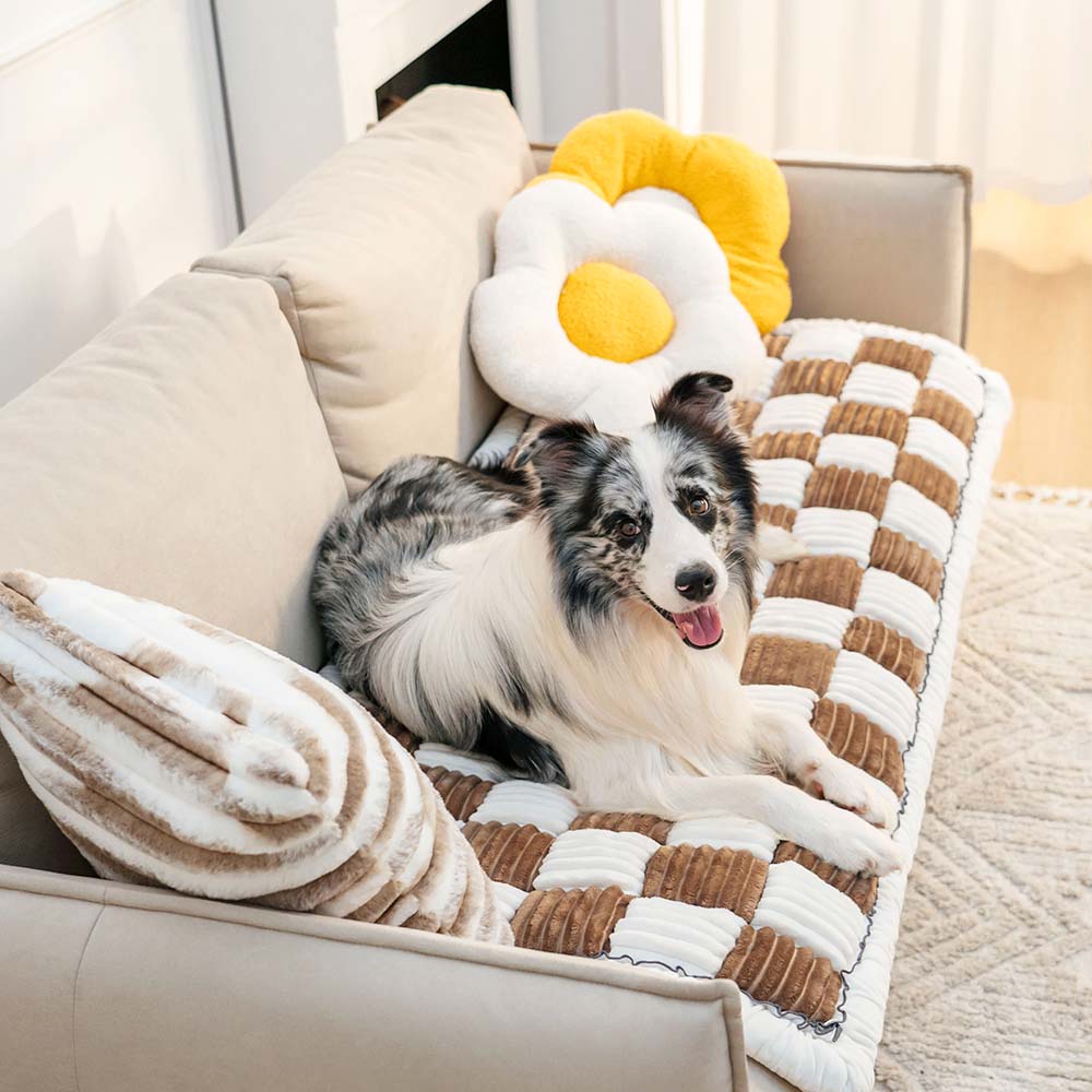 CozyCover – Elegant Blanket for Pet and Human Bowlift