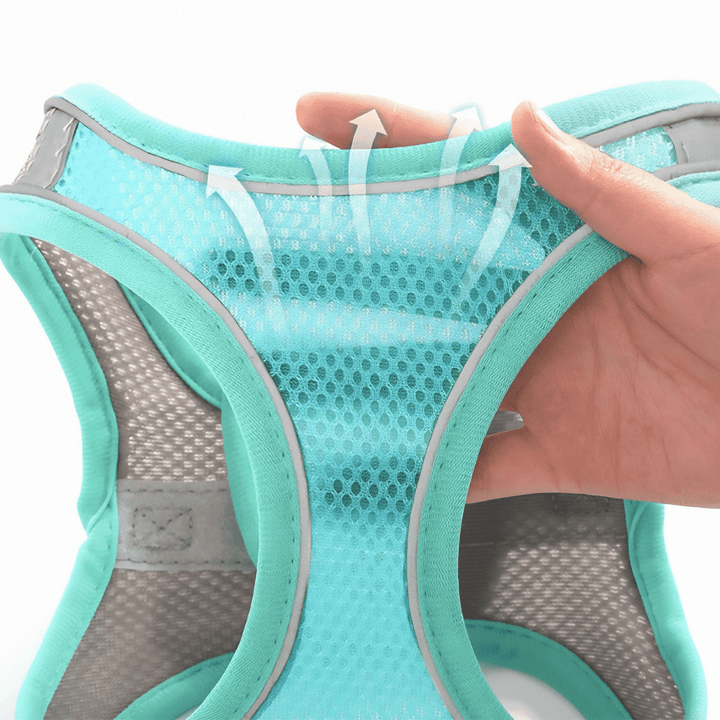 BowLift | Adjustable Cat T-shirt – Breathable Mesh Safety Design for Outdoor Adventures, Escape-proof and Fully Adjustable Fit
