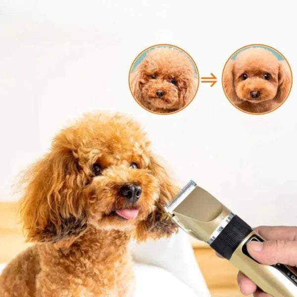 Silent Coat Trimmer set for dogs Bowlift