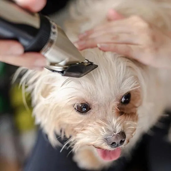 Silent Coat Trimmer set for dogs Bowlift