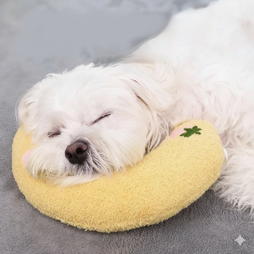 Ergonomic dog support pillow for healthy posture Bowlift