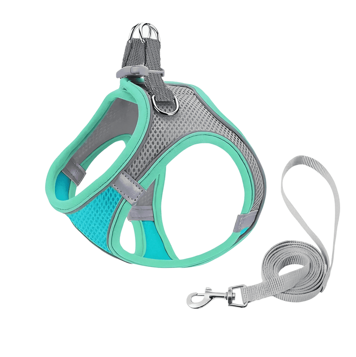 BowLift | Adjustable Cat T-shirt – Breathable Mesh Safety Design for Outdoor Adventures, Escape-proof and Fully Adjustable Fit