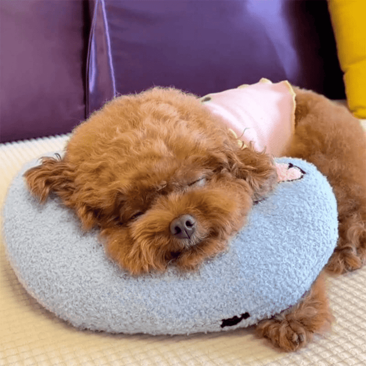 BowLift | PETEASE LUXURY – Orthopedic Dog Bed against Stress & Joint Pain