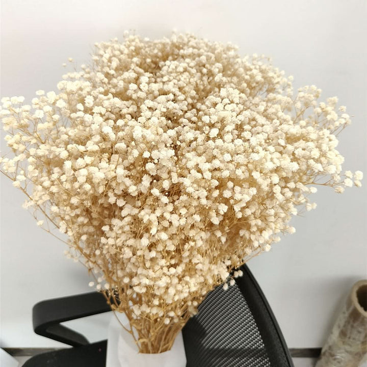BowLift | Dried Preserved Gypsophila Flower Bouquet – Natural Decor