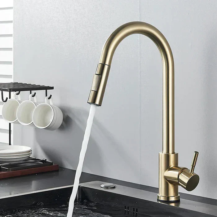 360° swivel faucet Bowlift