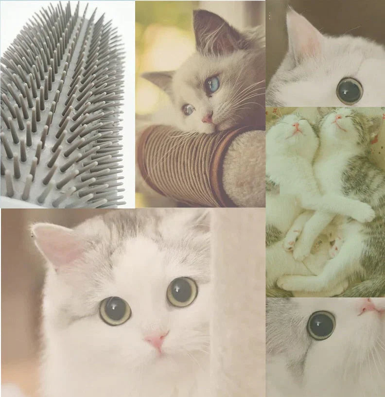 Self-Grooming Cat Corner Brush – FurRelaxer Bowlift