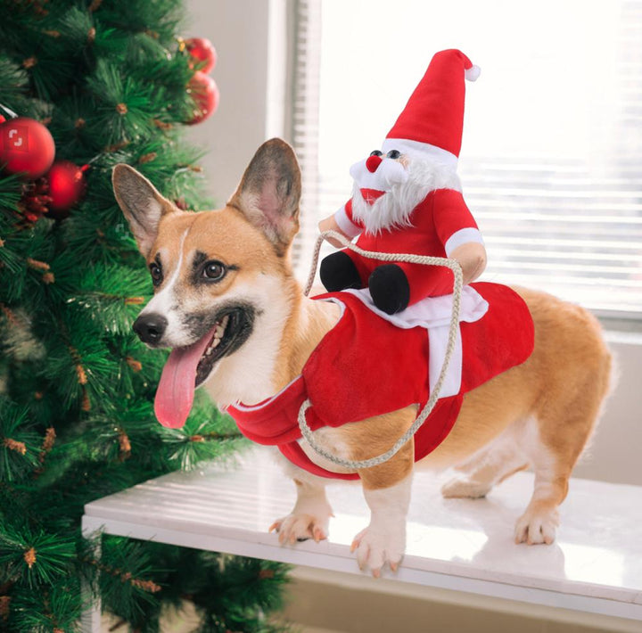 BowLift | HollyPaws - cozy, adjustable Christmas outfit for dogs