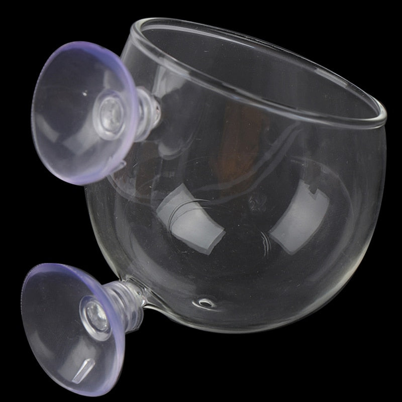 BowLift | Creative Aquarium Fish Tank Glass Vase
