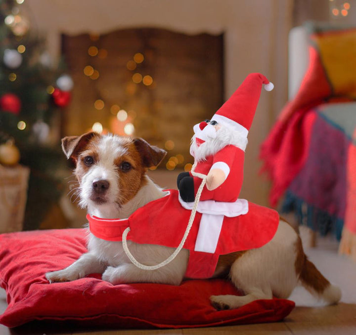 BowLift | HollyPaws - cozy, adjustable Christmas outfit for dogs