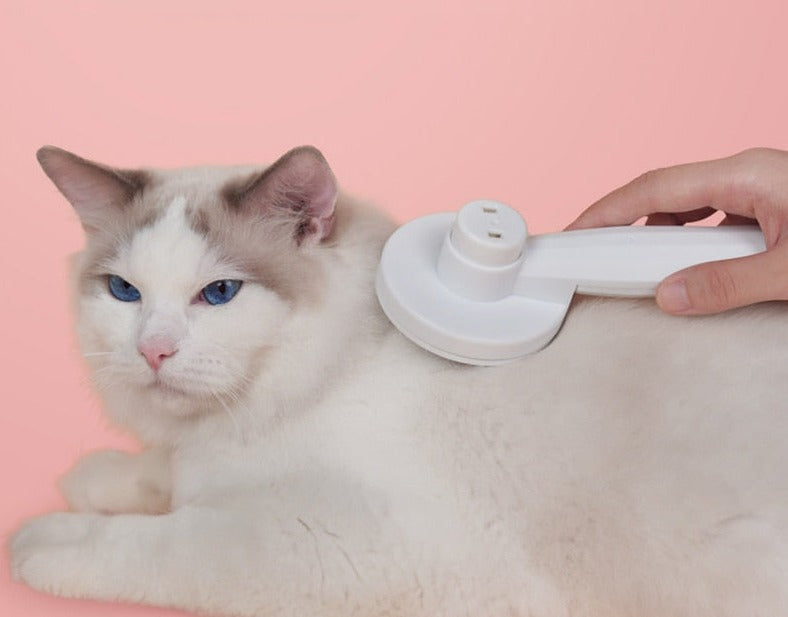 Innovative Cat Brush for Grooming Bowlift