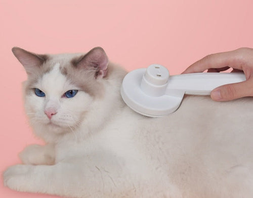 Innovative Cat Brush for Grooming Bowlift