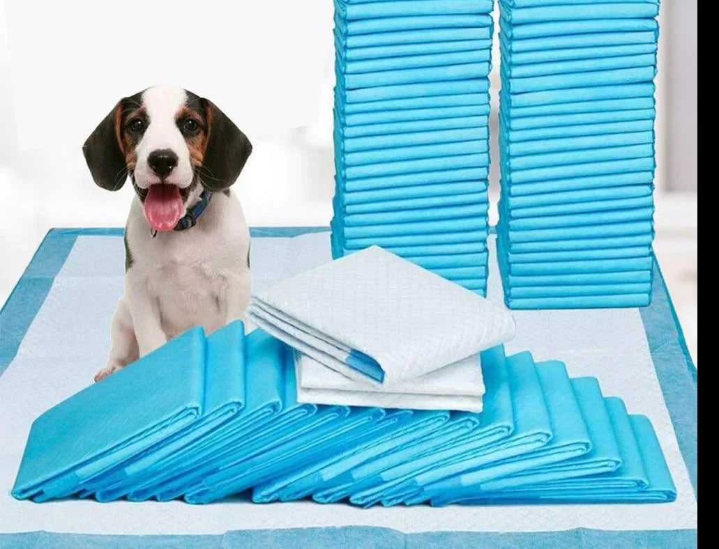 Pet Training Pads - DryPaws Mats Bowlift