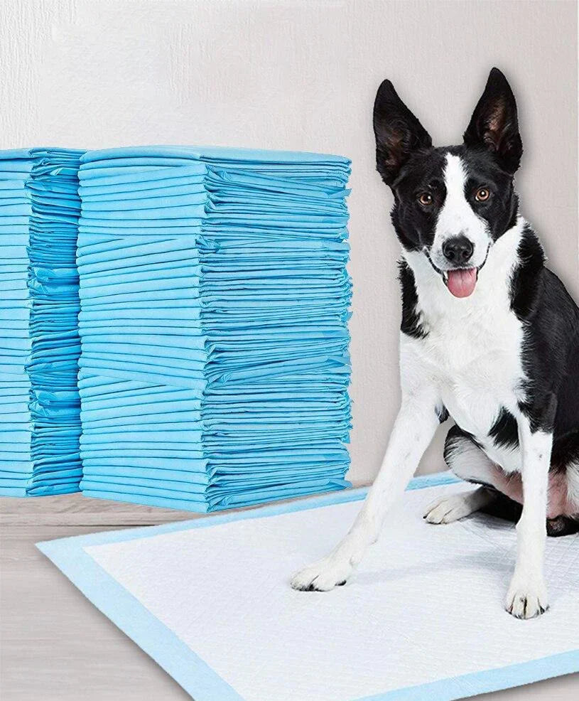 Pet Training Pads - DryPaws Mats Bowlift