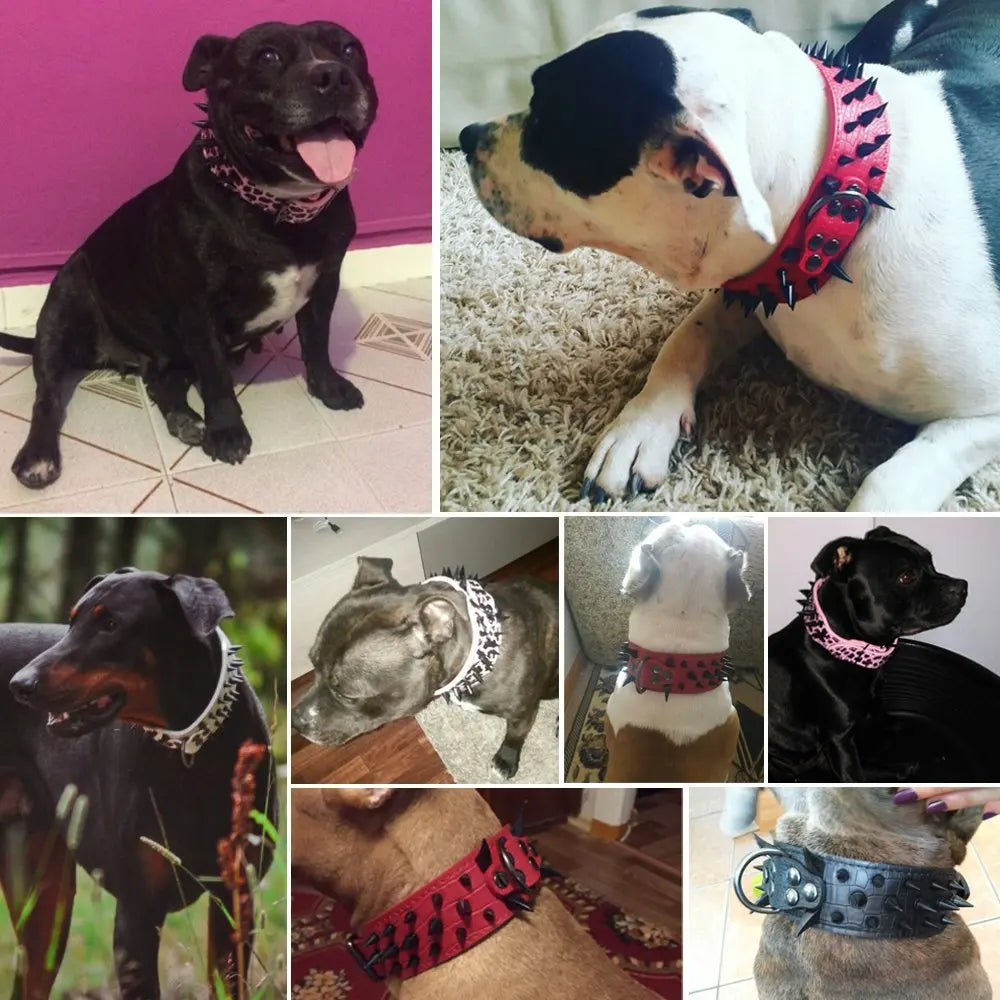Dog collar with studs for large dogs Bowlift