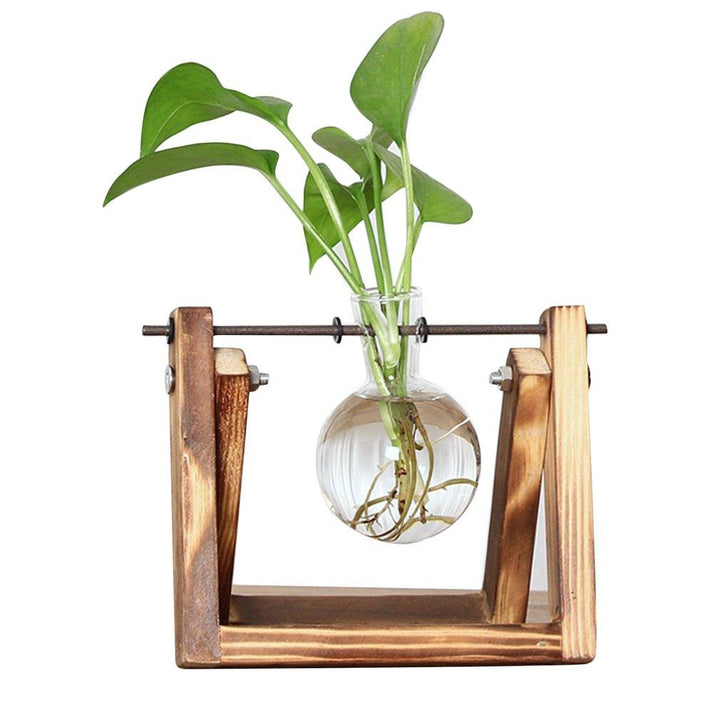 BowLift | Fauna Plants Cuttings Pots | Grow your own plants at home