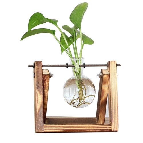 BowLift | Fauna Plants Cuttings Pots | Grow your own plants at home