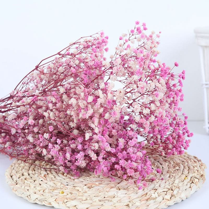 BowLift | Dried Preserved Gypsophila Flower Bouquet – Natural Decor