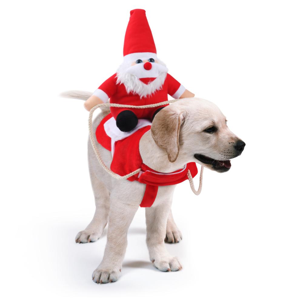 BowLift | HollyPaws - cozy, adjustable Christmas outfit for dogs