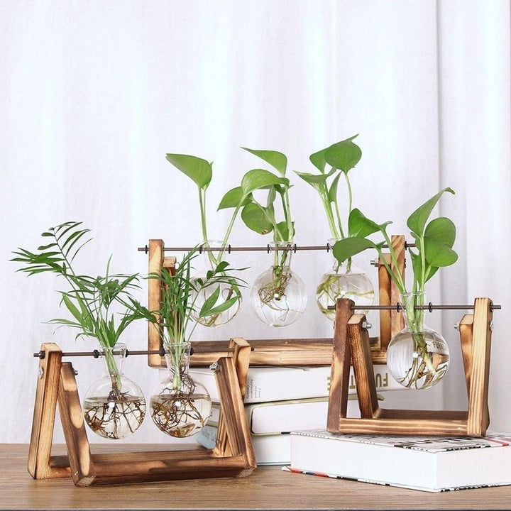 BowLift | Fauna Plants Cuttings Pots | Grow your own plants at home