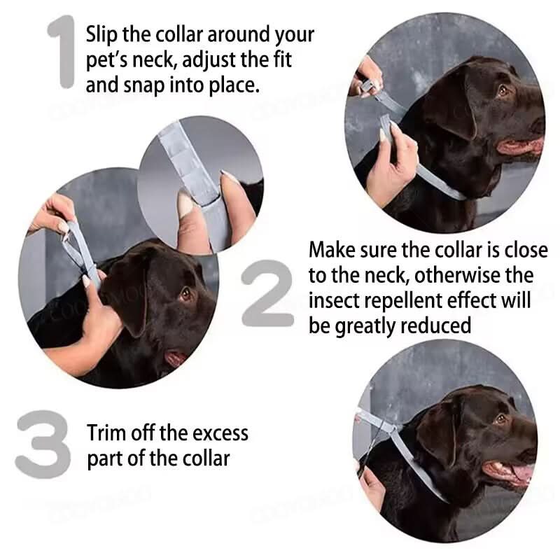 BowLift | PAWTECT - Anti-tick and flea collar