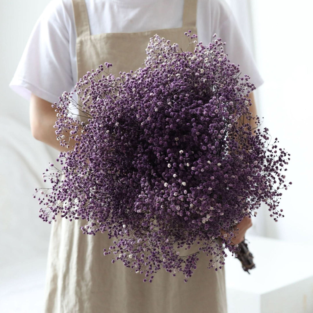 BowLift | Dried Preserved Gypsophila Flower Bouquet – Natural Decor